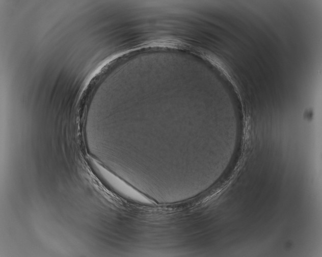 X0000114620923200912010957