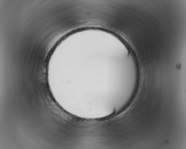 X0000114620926200912010958