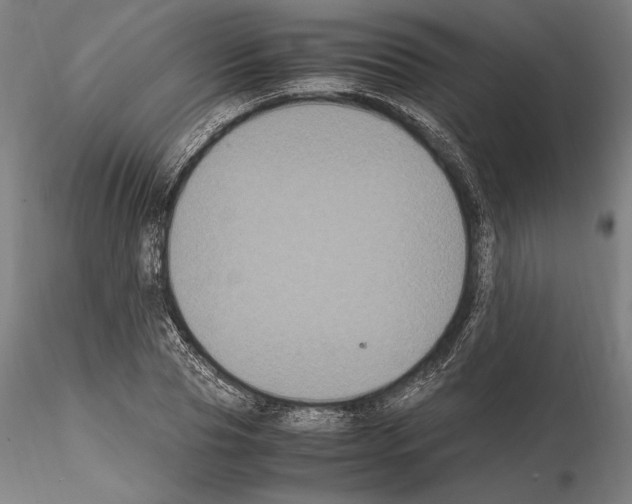 X0000114620929200912010958