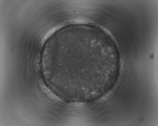 X0000114620930200912010958