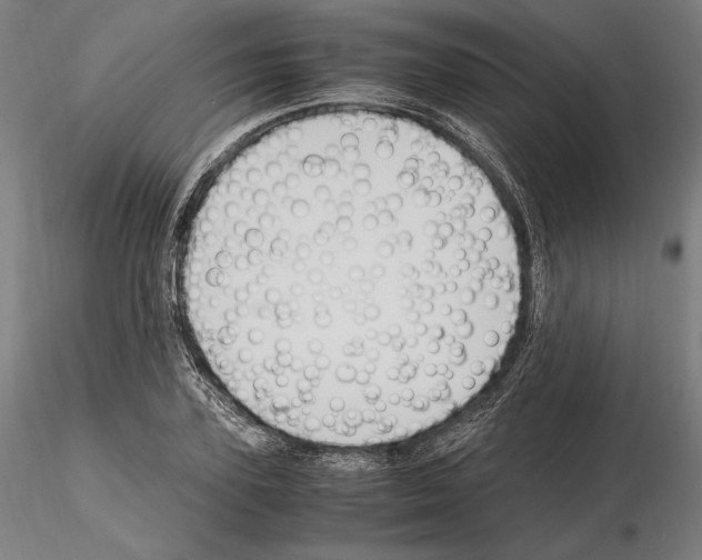 X0000114620931200912010958