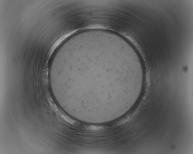 X0000114620933200912010958