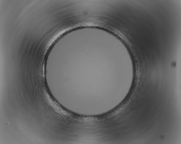 X0000114620934200912010958