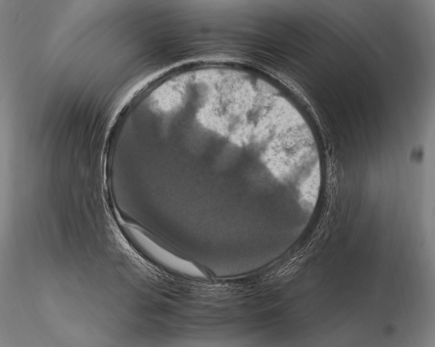 X0000114620935200912010958