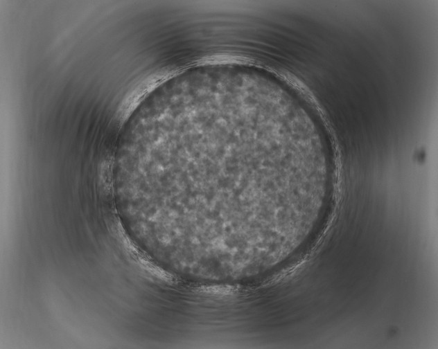 X0000114620937200912010958