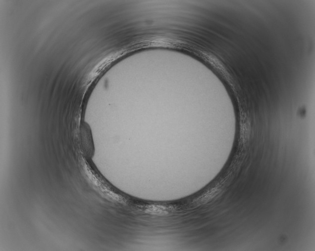 X0000114620938200912010958