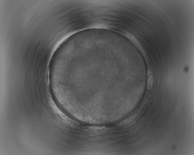 X0000114620939200912010958