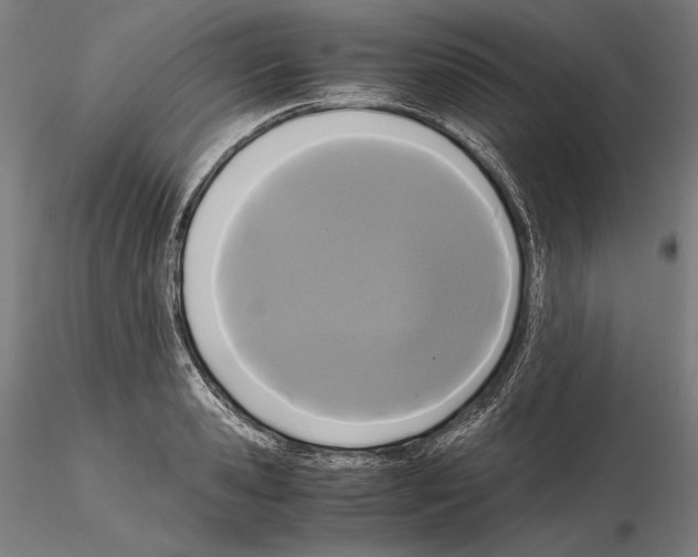 X0000114620941200912010958