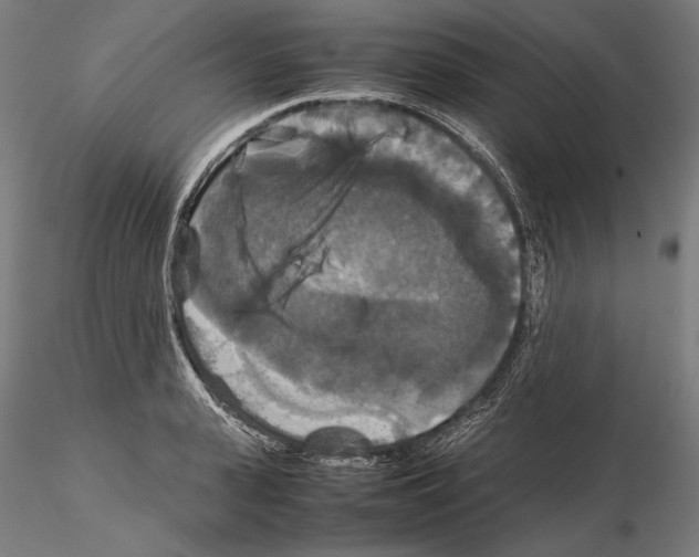 X0000114620943200912010958