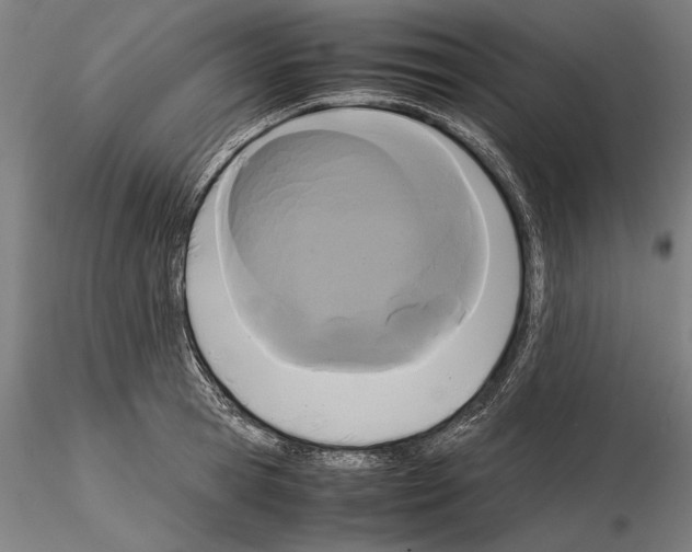 X0000114620945200912010958