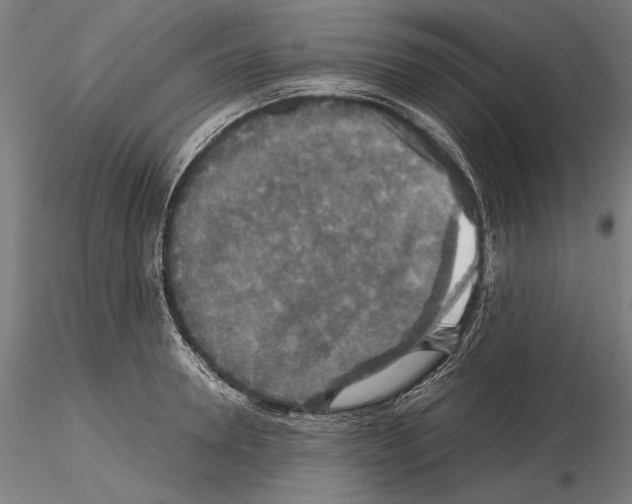 X0000114620946200912010958