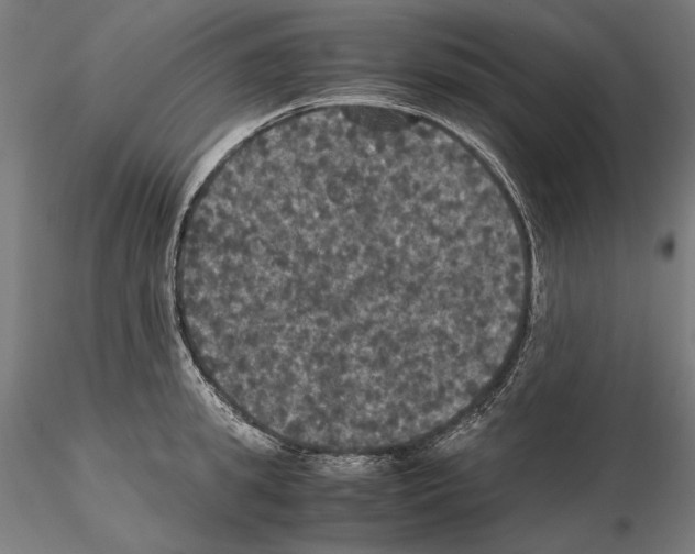 X0000114620949200912010958