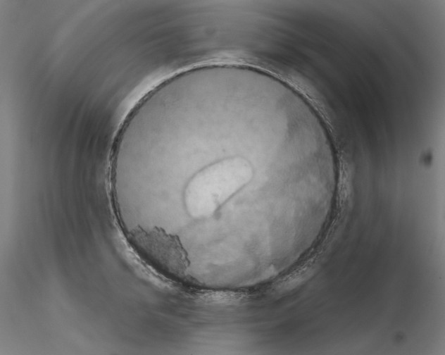 X0000114620950200912010958