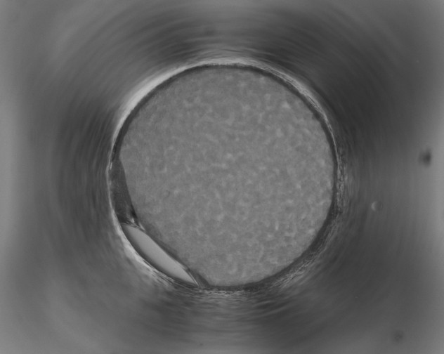 X0000114620951200912010958