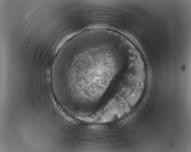 X0000114620953200912010958