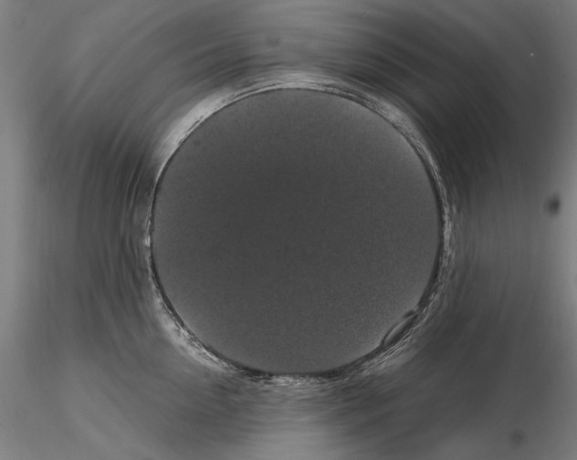 X0000114620954200912010958