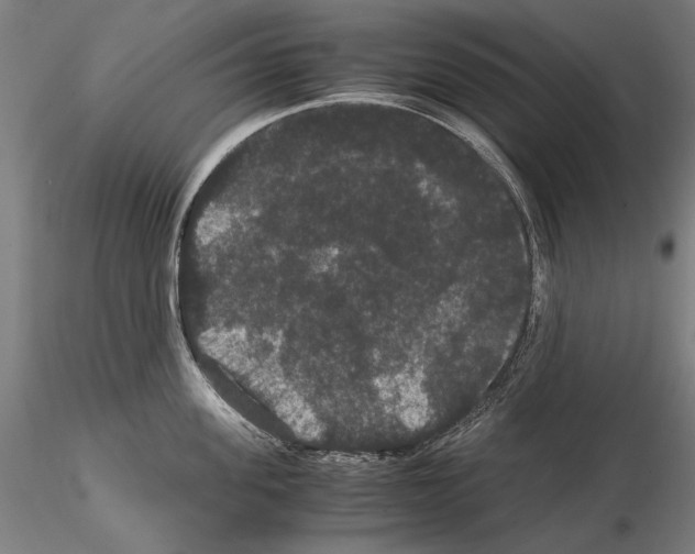 X0000114620955200912010958