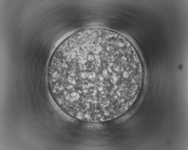 X0000114620957200912010958