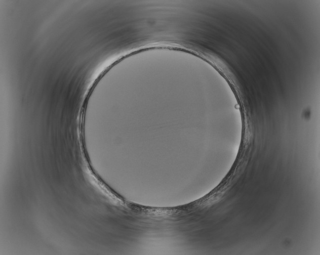 X0000114620958200912010958