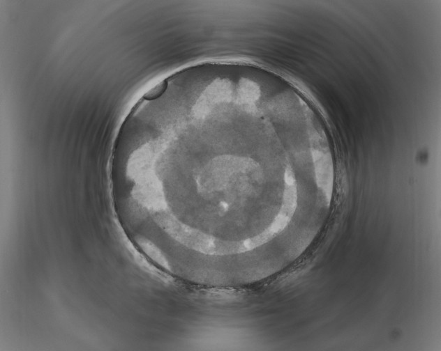 X0000114620959200912010958