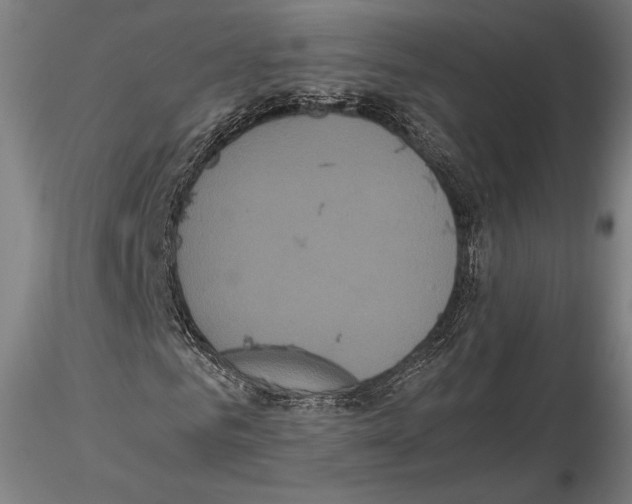 X0000114620961200912010957