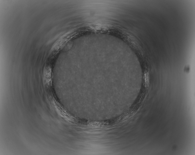 X0000114620963200912010957