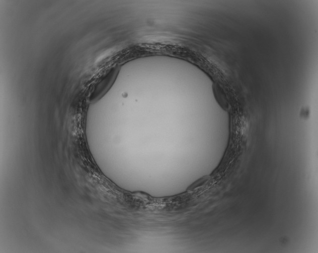 X0000114620965200912010957