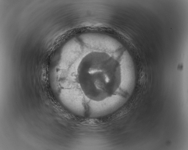 X0000114620966200912010957