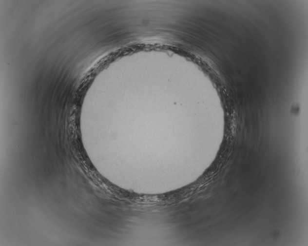 X0000114620968200912010957