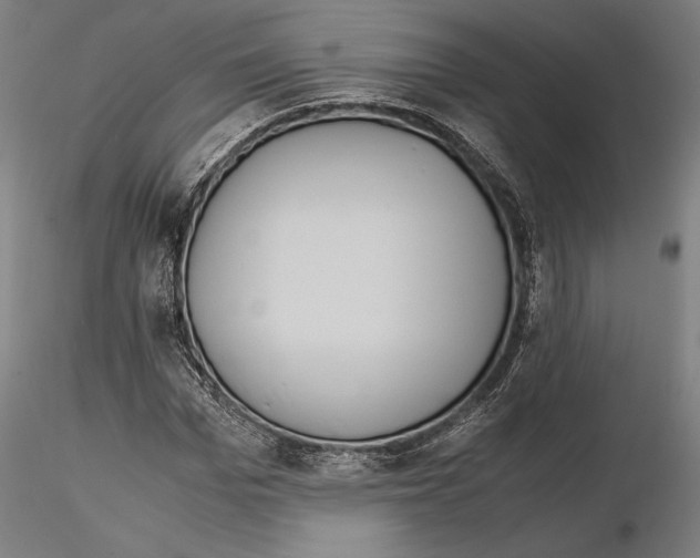 X0000114620969200912010957