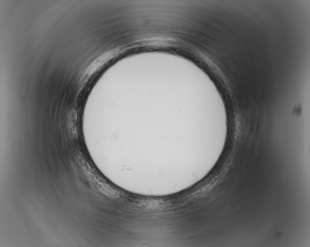 X0000114620970200912010957