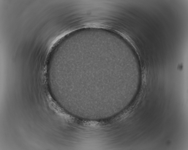 X0000114620971200912010957