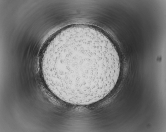 X0000114620974200912010957