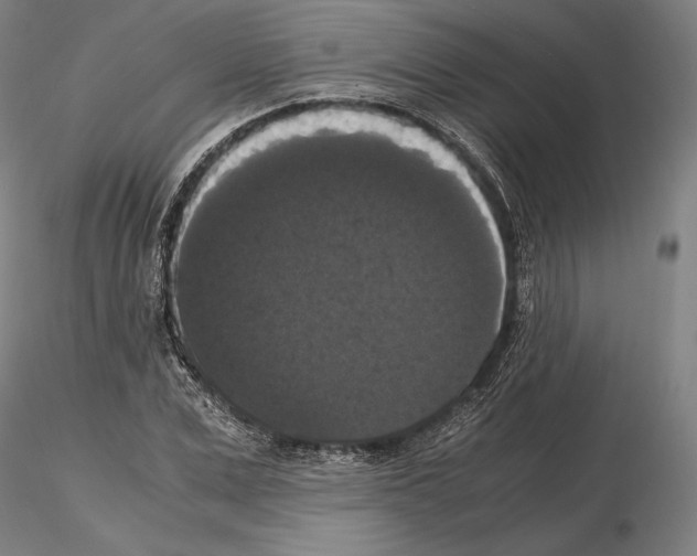 X0000114620975200912010957