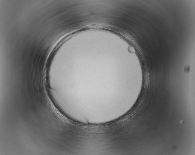 X0000114620976200912010957