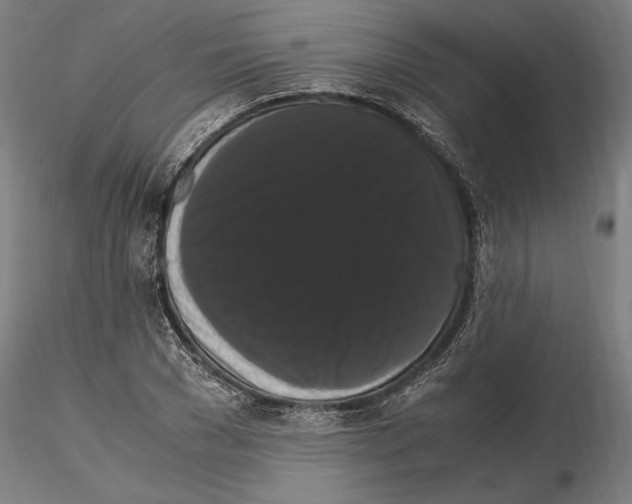 X0000114620977200912010957