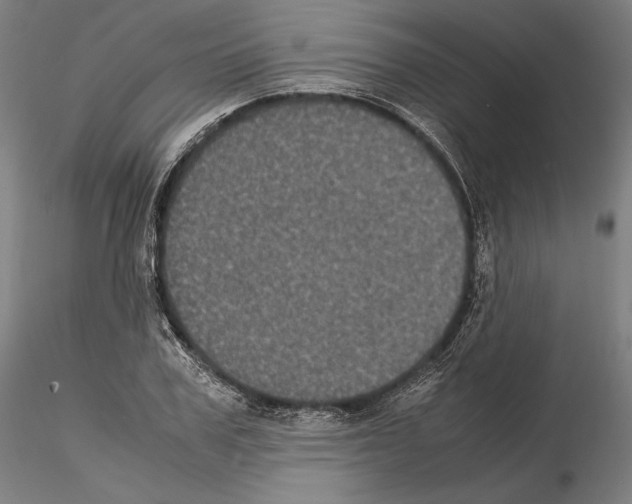 X0000114620979200912010957