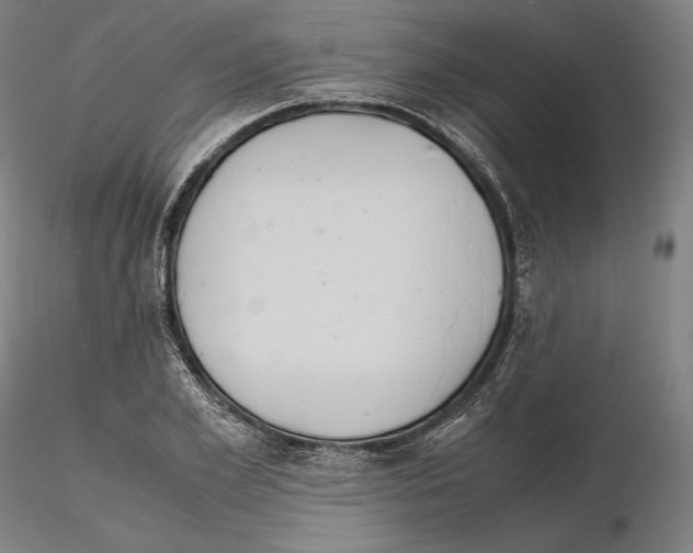 X0000114620981200912010957