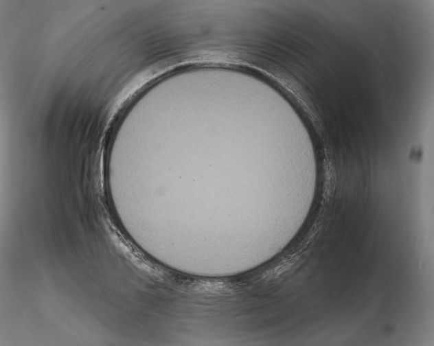 X0000114620982200912010957