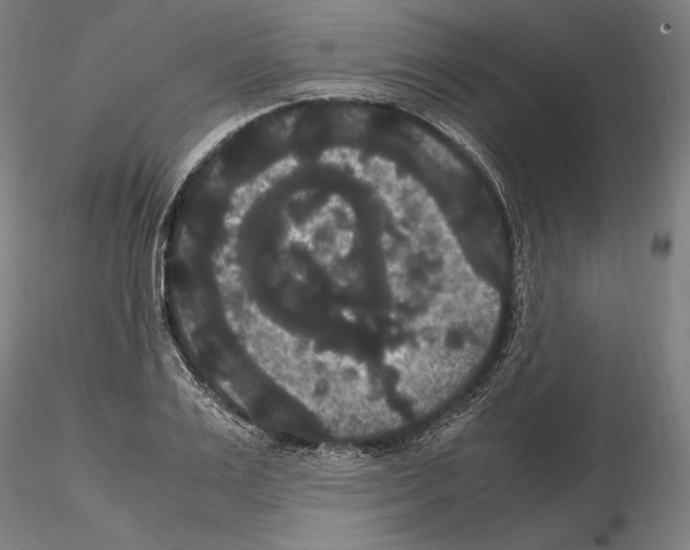 X0000114620983200912010957