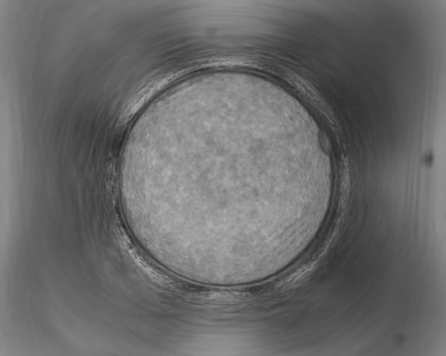 X0000114620985200912010957