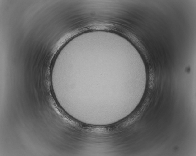 X0000114620986200912010957