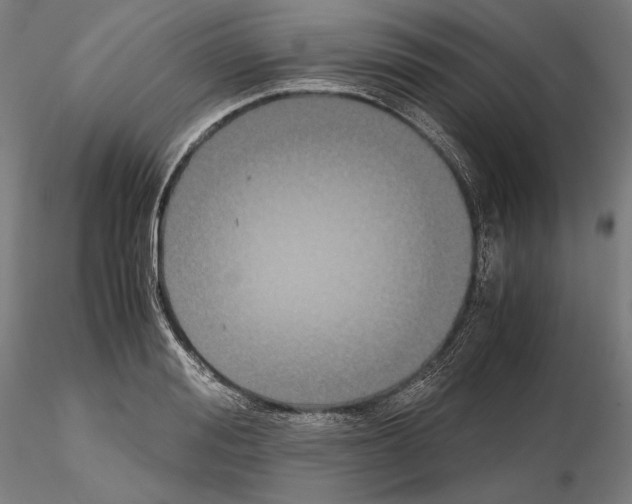 X0000114620988200912010957