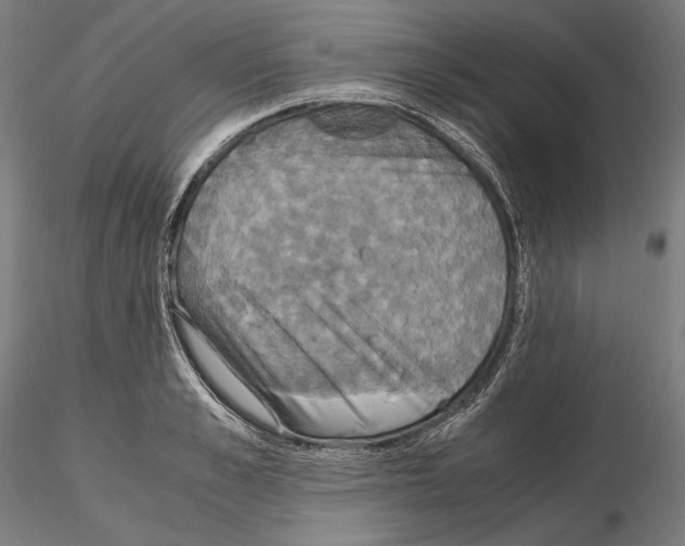 X0000114620989200912010957