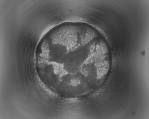 X0000114620990200912010957