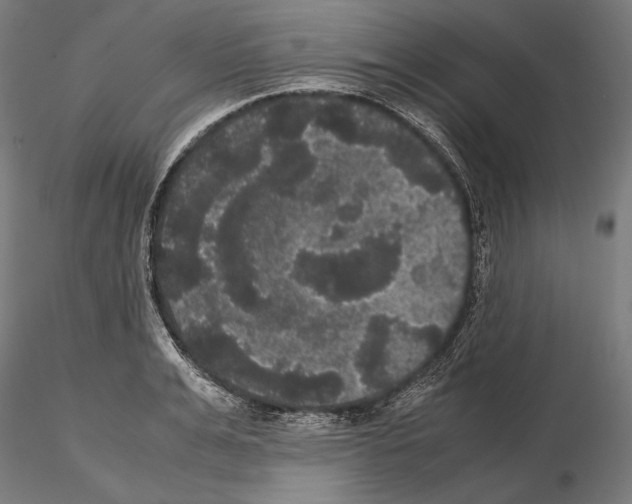 X0000114620991200912010957