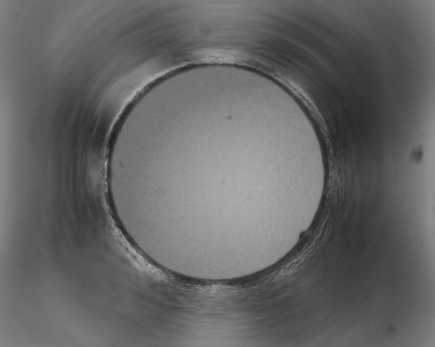 X0000114620992200912010957