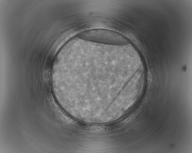 X0000114620993200912010957