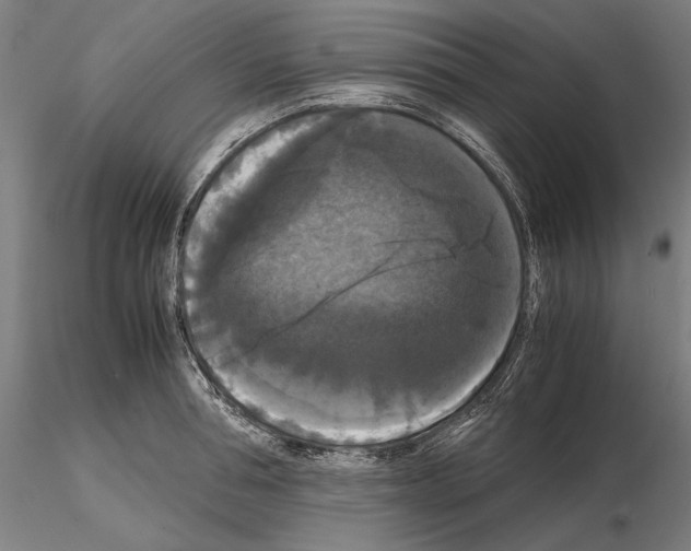 X0000114620994200912010957