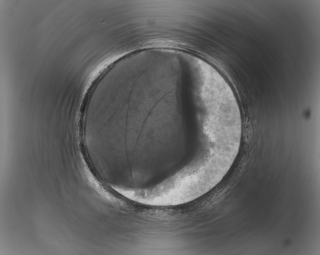 X0000114620995200912010957